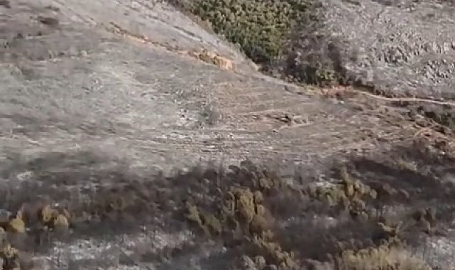 Bursa'da küle dönen ormanlık alan havadan görüntülendi