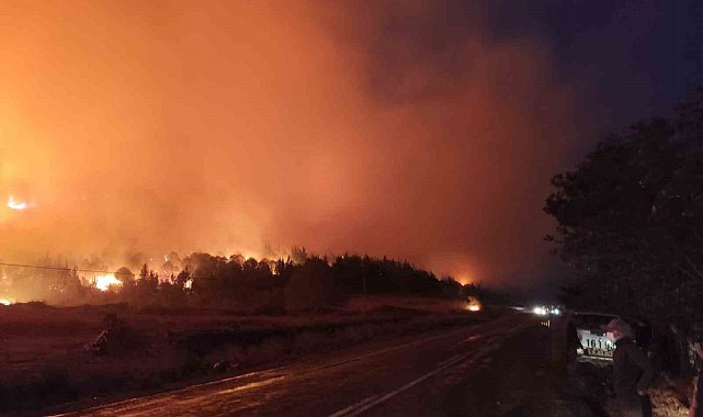 Bursa'da orman yangını...Rüzgarın etkisiyle büyüdü