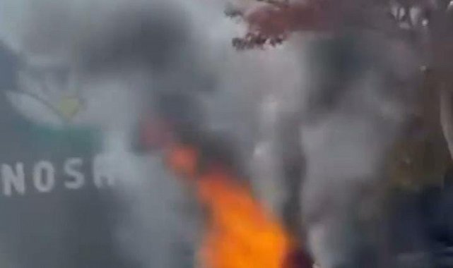 Bursa'da park halindeki otomobil alev topuna döndü