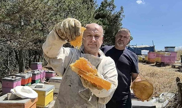 Bursa'da üretilen bu bal her derde deva