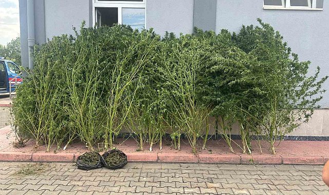 Bursa'da uyuşturucu operasyonu