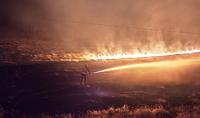Çaldıran'da anız yangını