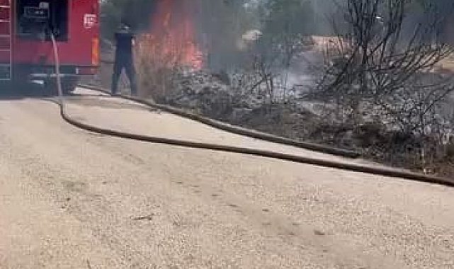 Çalılık alanda çıkan yangın korkuttu