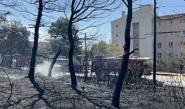 Çanakkale'de çıkan orman yangını kontrol altına alındı, okullar ve pansiyonlar ucuz kurtuldu
