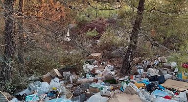 Çanakkale'de ormanlık alanlar çöpten geçilmiyor