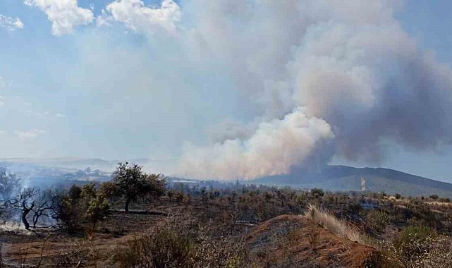 Çanakkale'de tarım arazisinde yangın