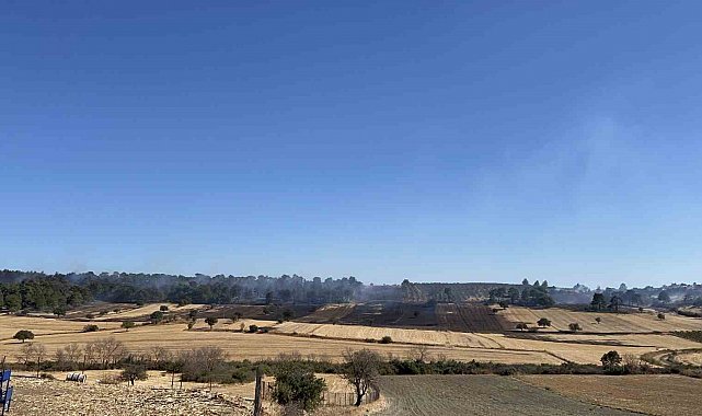 Çanakkale'deki orman yangını kontrol altına alındı