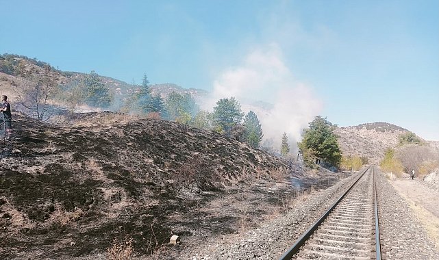 Çankırı'da çıkan ot yangını büyümeden söndürüldü