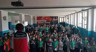 Çarşamba'da tarımda koruma ve mücadele çalışmaları