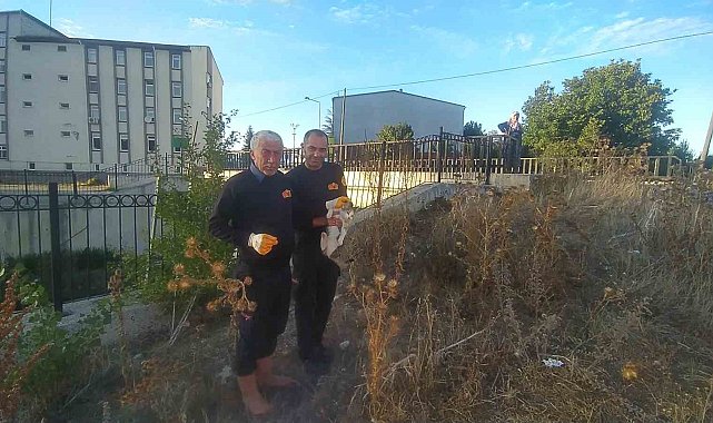 Çaya düşen engelli kediyi itfaiye kurtardı