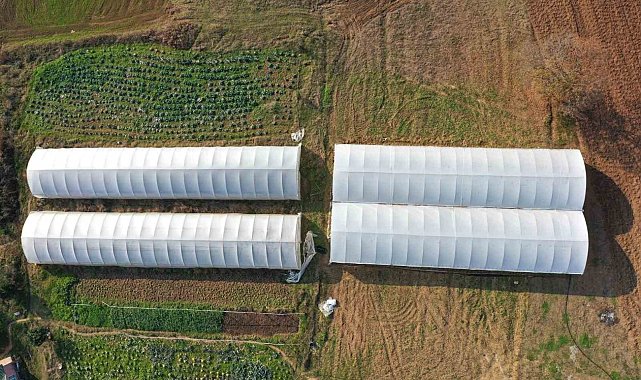 Çiftçilere yüzde 50 hibeli modern sera