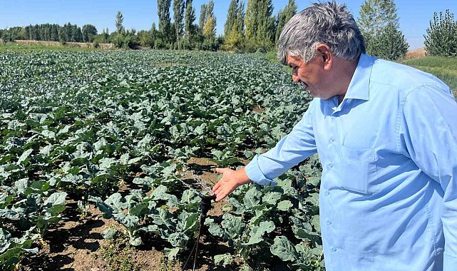 Çiftçilerin kullandığı kuyu suları 2 metreye kadar indi