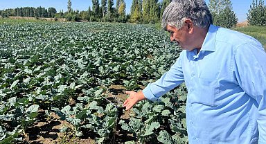 Çiftçilerin kullandığı kuyu suları 2 metreye kadar indi