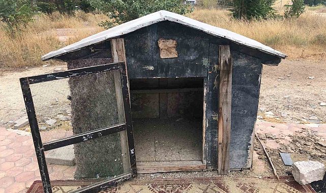Cinayete kurban giden şahsın kuşları beslediği kafes boş kaldı