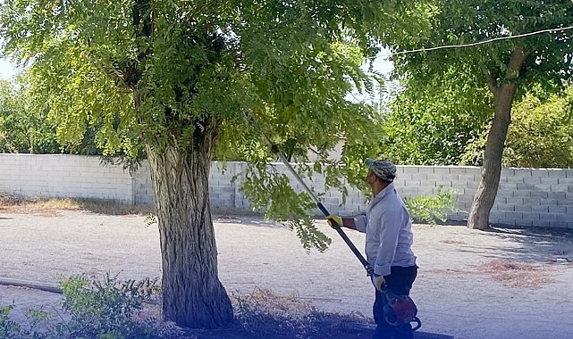 Çine'de okul bahçeleri yeni döneme hazır