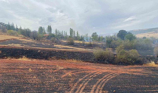 Çorum'da arazi yangını: 250 dönüm tarla ve 15 dönüm ağaçlık alan zarar gördü