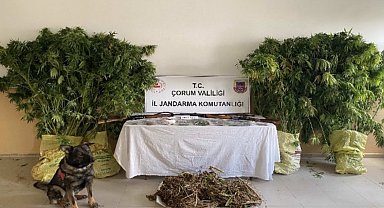 Çorum'da jandarmadan uyuşturucu tacirlerine operasyon: 2 tutuklama