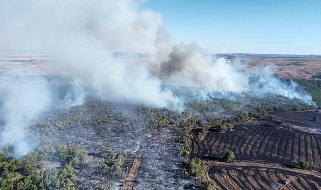 Çorum'da tarım arazisindeki yangın ormanlık alana sıçradı