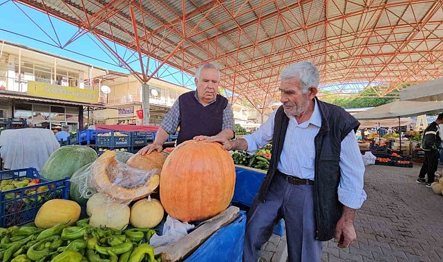 Darende'nin meşhur bal kabağı üreticinin yüzünü güldürüyor