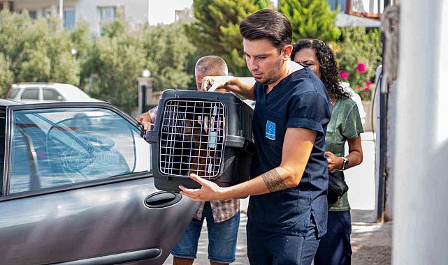 Davutlar Mahallesi'ne Kedi Kısırlaştırma Merkezi açıldı