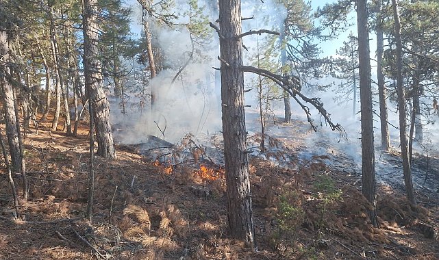 Demirci'de orman yangınına havadan müdahale