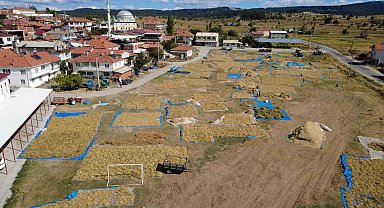 Demirci'nin yaylalarında yetişen kuru fasulyede hasat başladı