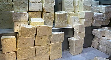 Denizli'de peynir üreten firmanın 5 ürününde yağ oranı düşük çıktı