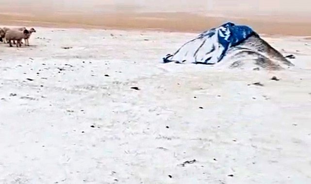 Diyadin'de Eylül'de yağan kar köyü beyaza bürüdü