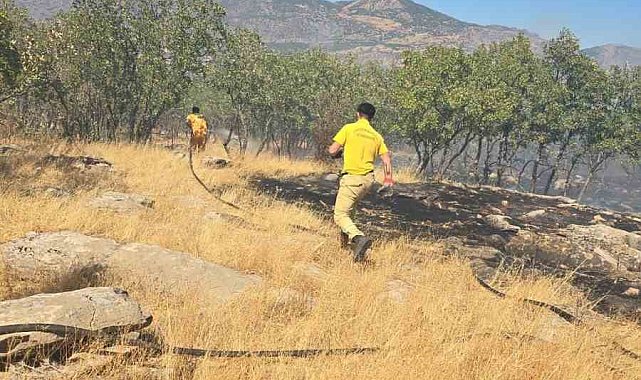 Diyarbakır'da orman ve örtü yangını