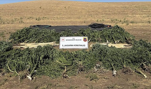 Diyarbakır'da uyuşturucu operasyonu: 28 şüpheli hakkında işlem yapıldı