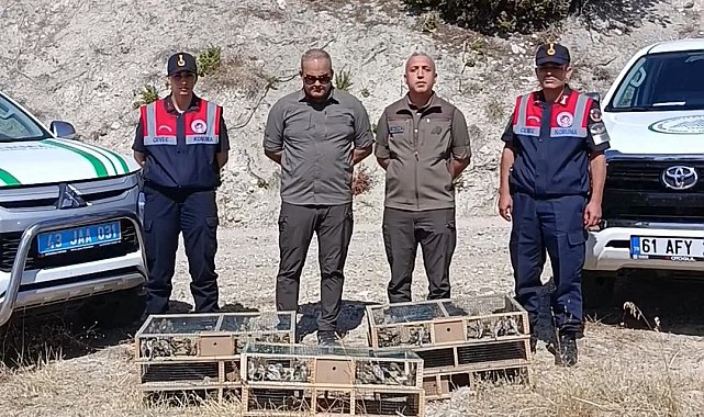 DKMP ekipleri izinsiz yakalanan şaka kuşu ele geçirdi