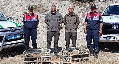 DKMP ekipleri izinsiz yakalanan şaka kuşu ele geçirdi