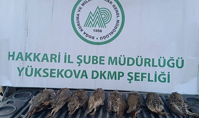 DKMP ekipleri kaçak keklik avlayan şahsa cezai işlem uyguladı
