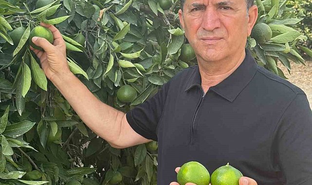 Doğan "Turunçgil kesim ve ihraç tarihlerinde sahadaki gerçek üretim şartları dikkate alınmalıdır''