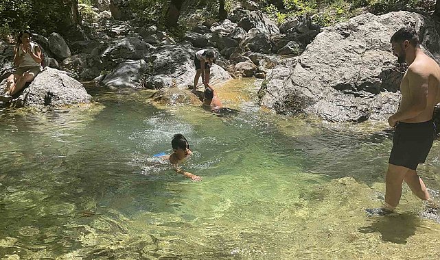 Doğanın kalbinde bir cennet: Kocakesme Şelalesi