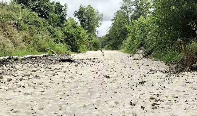 Doğaseverlerin kuruyan gözdesi suya tekrar kavuştu