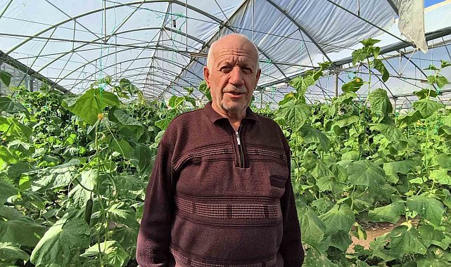 Doğu Anadolu'nun en büyük serasında üretim aralıksız sürüyor
