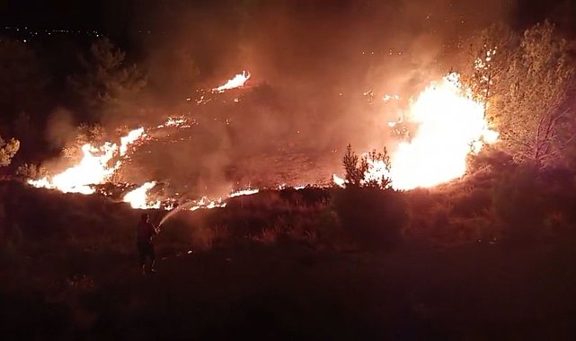 Düğün sırasında çalılık alanda yangın çıktı: Ormana sıçramadan söndürüldü