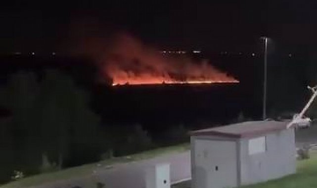 Dünya mirası listesindeki Hevsel Bahçeleri'nde korkutan yangın