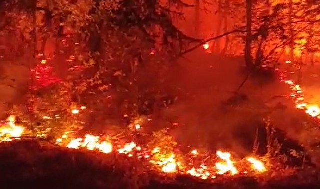 Düzce'de bir bölgede daha orman yangını çıktı