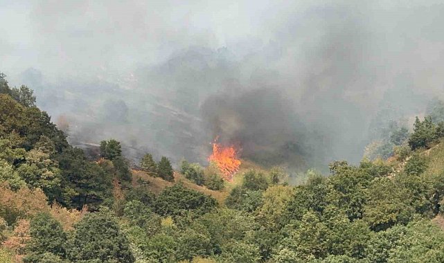 Düzce'de yangının çıkış nedeni araştırılıyor