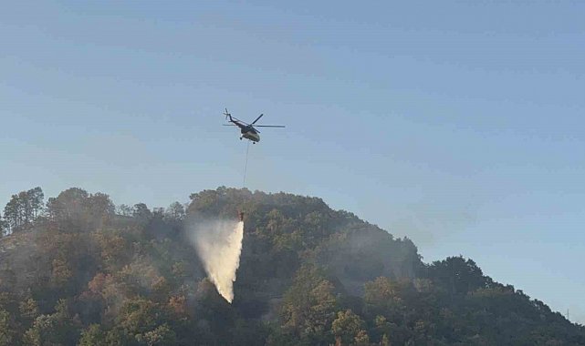 Düzce'deki orman yangını kısmen kontrol altına alındı