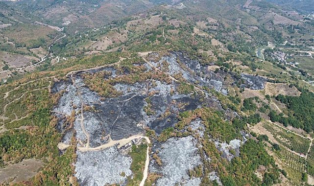 Düzce'deki yangının boyutu havadan görüntülendi