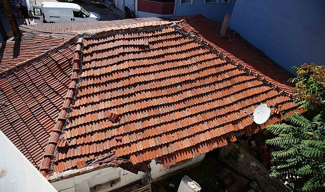 Edirne'de mahallede fare paniği