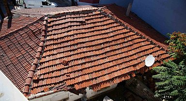 Edirne'de mahallede fare paniği