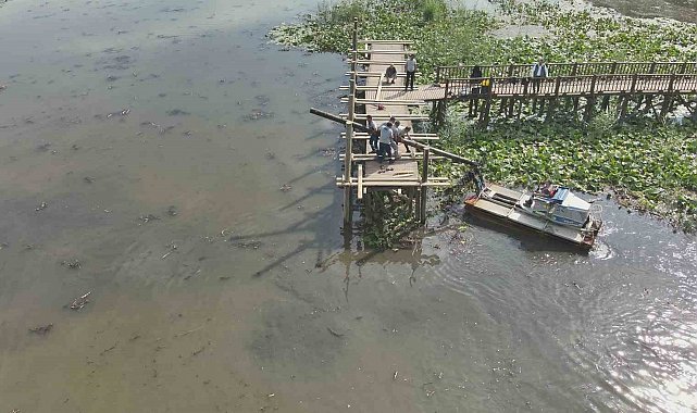 Efteni Gölü ahşap iskelesi yenileniyor