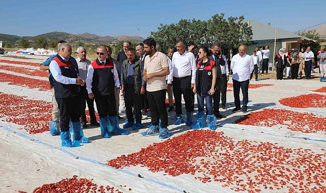 Elazığ'da 100 bin 352 ton domates rekoltesi bekleniyor