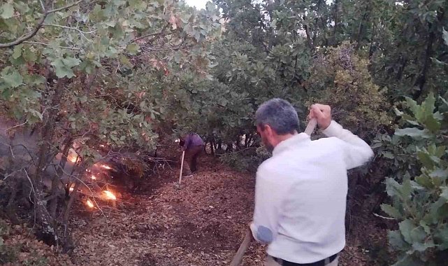 Elazığ'da ağaçlık alanda yangın