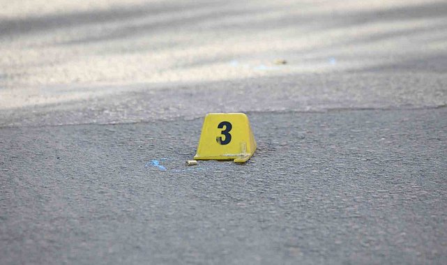 Erciş'te iki kardeşe silahlı saldırı: 1 ölü, 1 yaralı