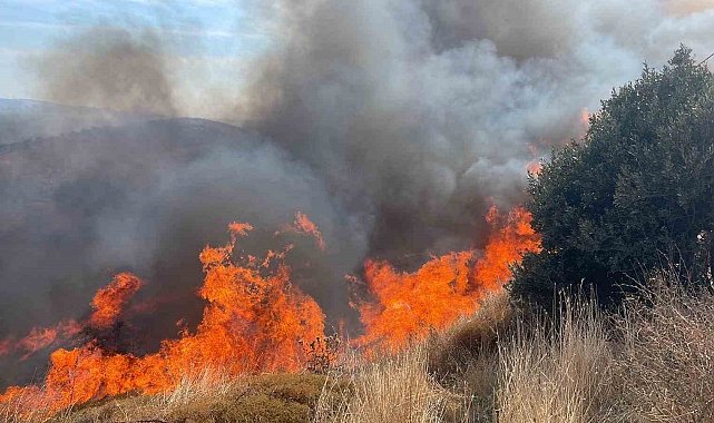 Erdek'te 100 dönümlük alanda yangın